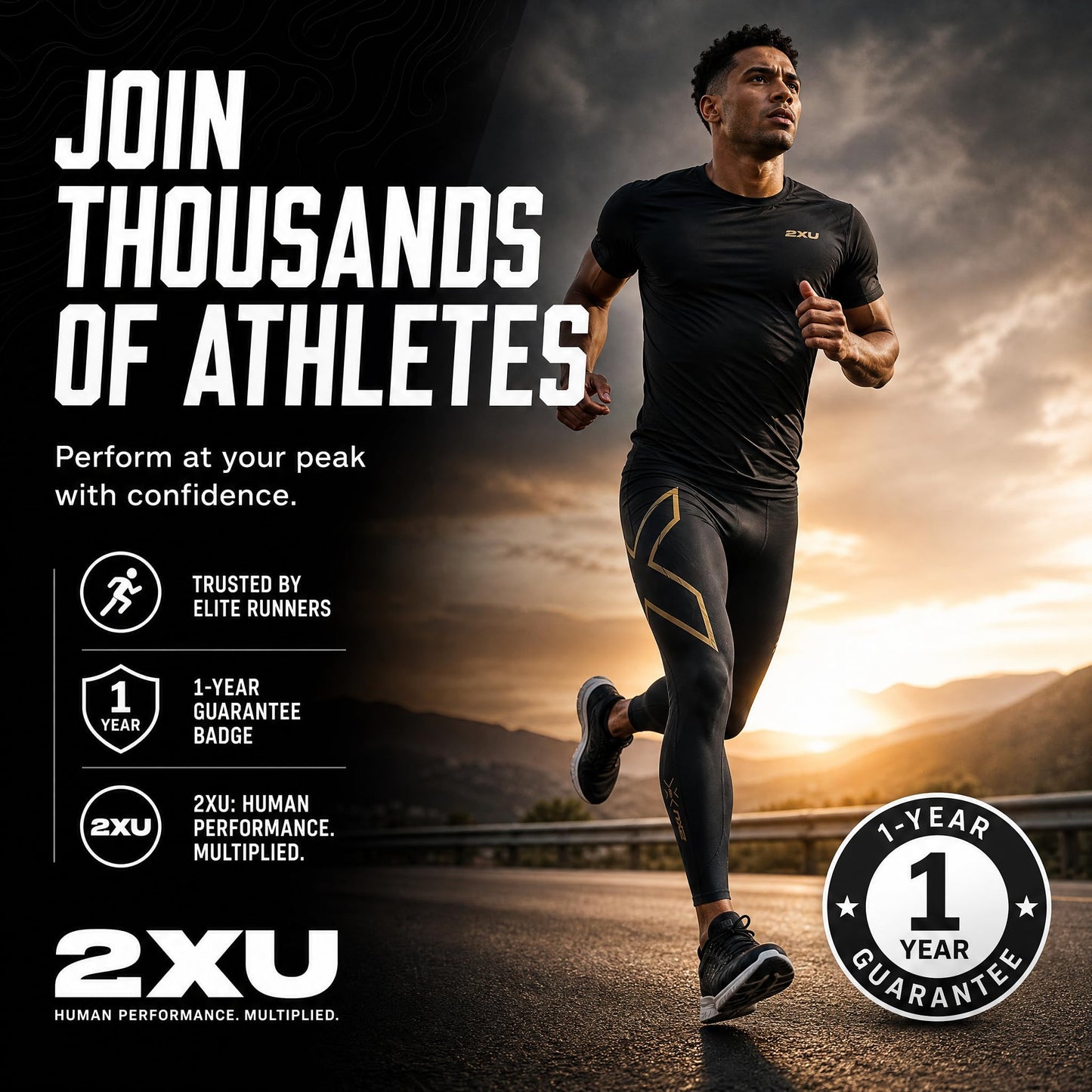 2XU mens Mcs Run Compression TightTight